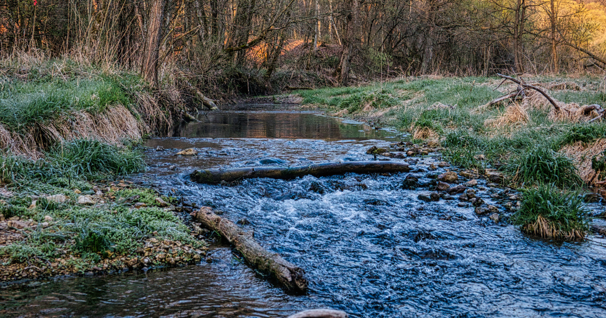 The Quinnipiac River