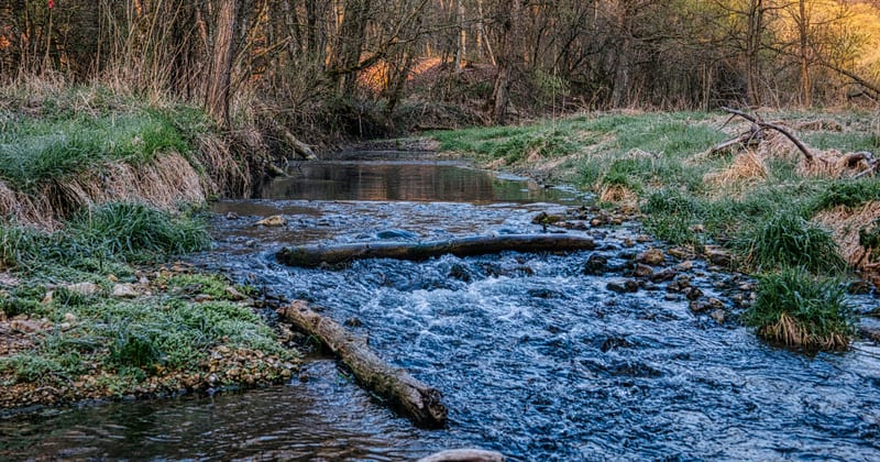 The Quinnipiac River