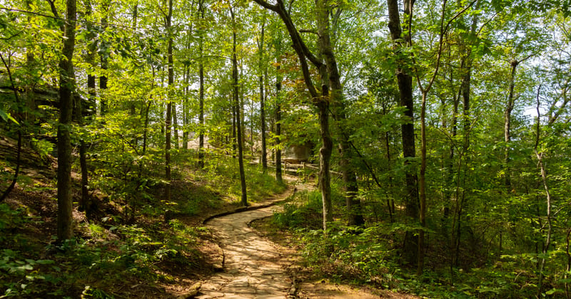 Guilford Land Trust