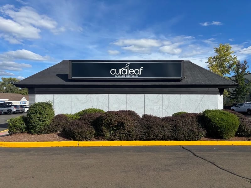 The Curaleaf Cannabis Dispensary sign above the store at 443 South Broad Street in Meriden, behind a row of shrubs.