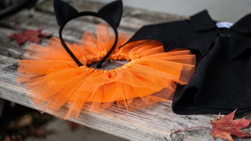 Cat ears, an orange tutu and a black bat-wing cape laid out on a wooden bench with fallen maple leaves