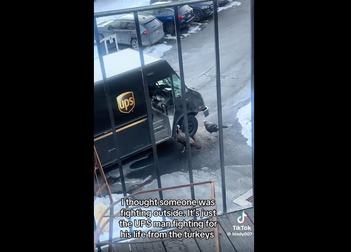 UPS vs Turkey